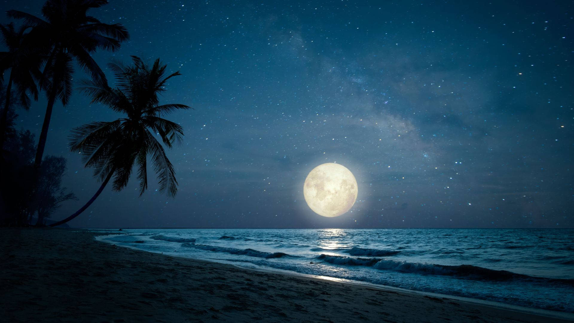 Moonlight Beach Night View Background