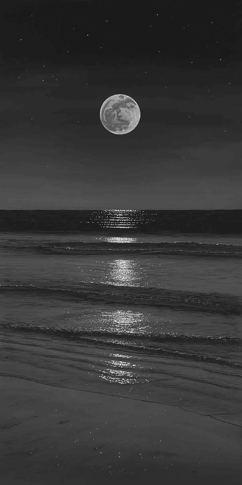 Moonlit Beach Noir Background