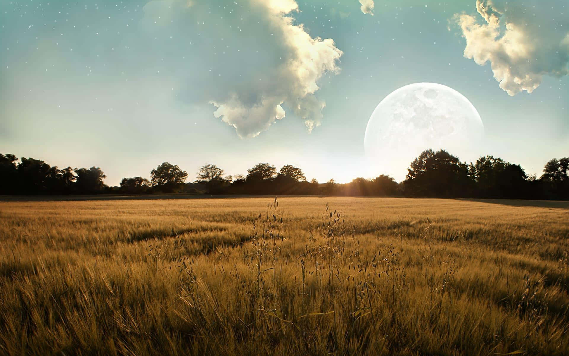 Moonlit Wheat Field Dreamscape Background