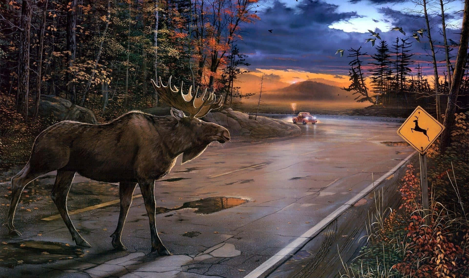 Moose_ Crossing_at_ Dusk Background