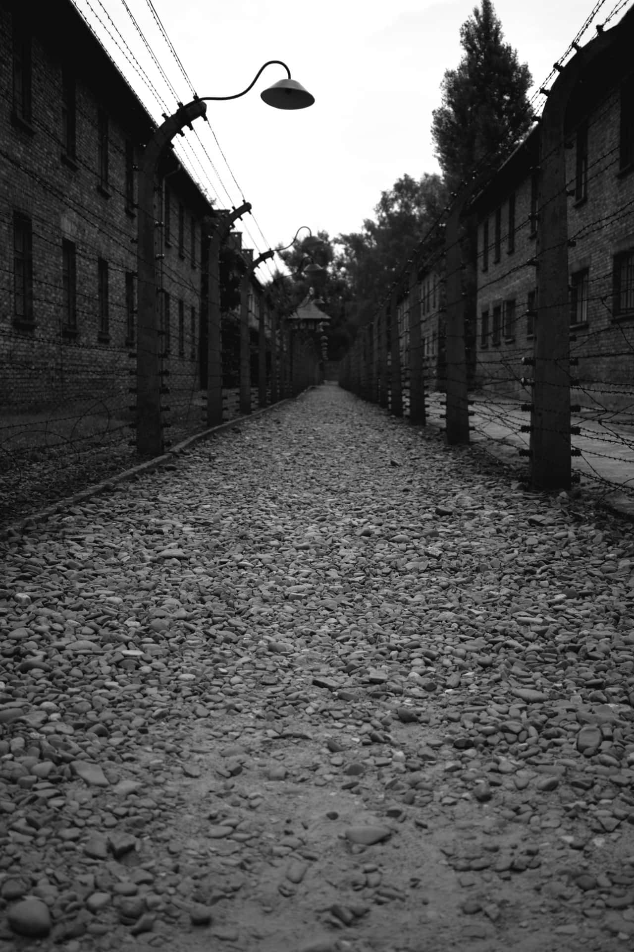 Morbid Pathway Background