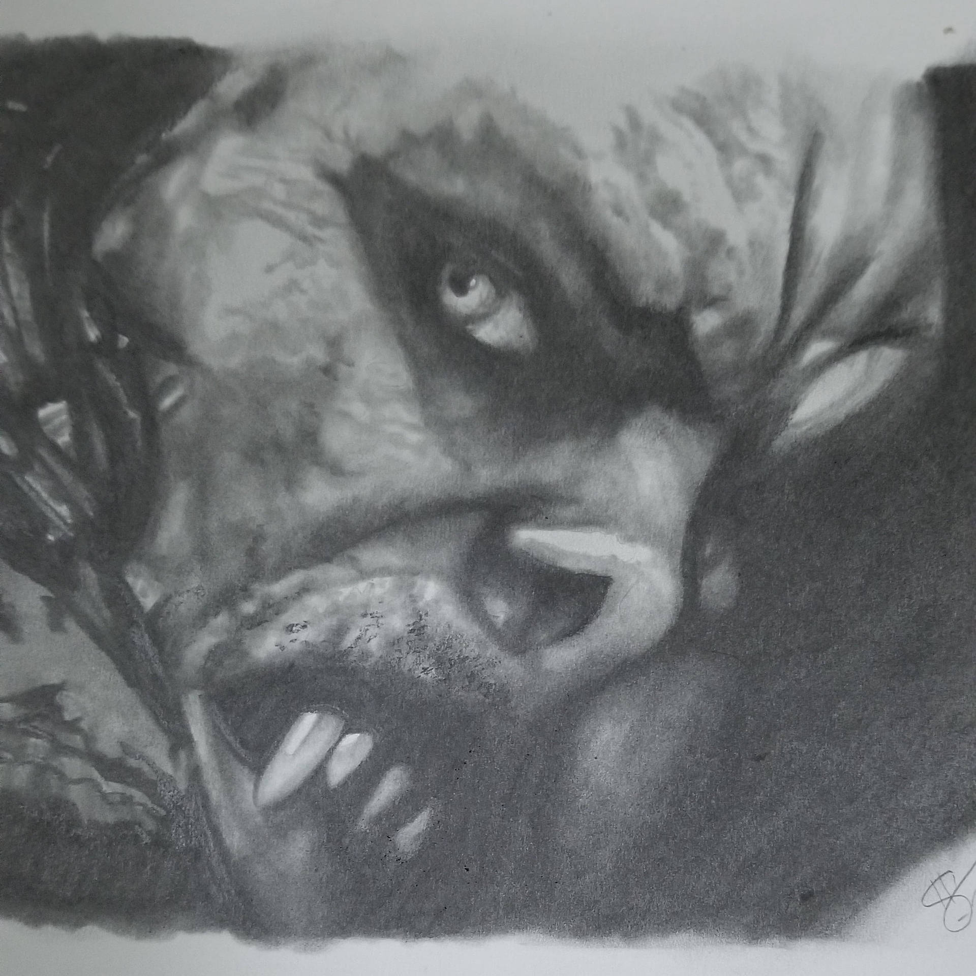Morbius Face Drawing Background