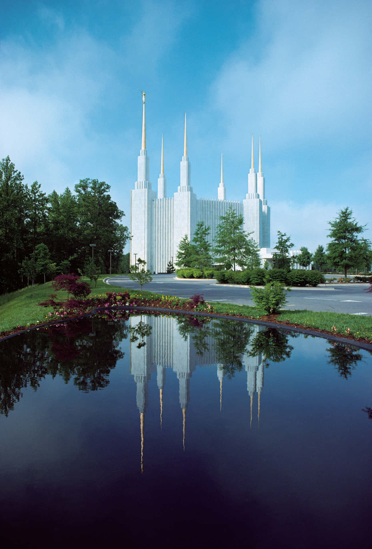 Mormon Temple Of Latter Day Saint Background