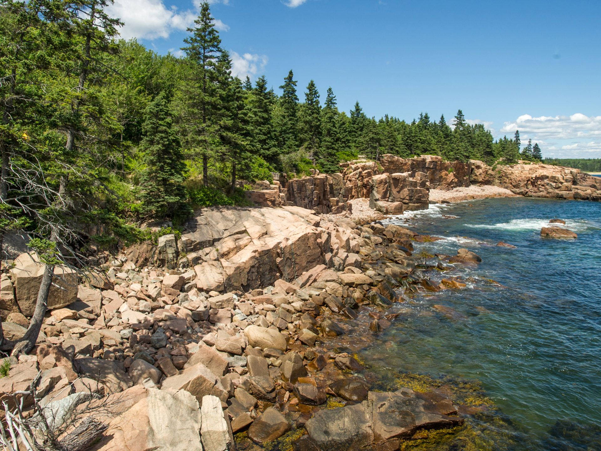 Morning At Acadia National Park