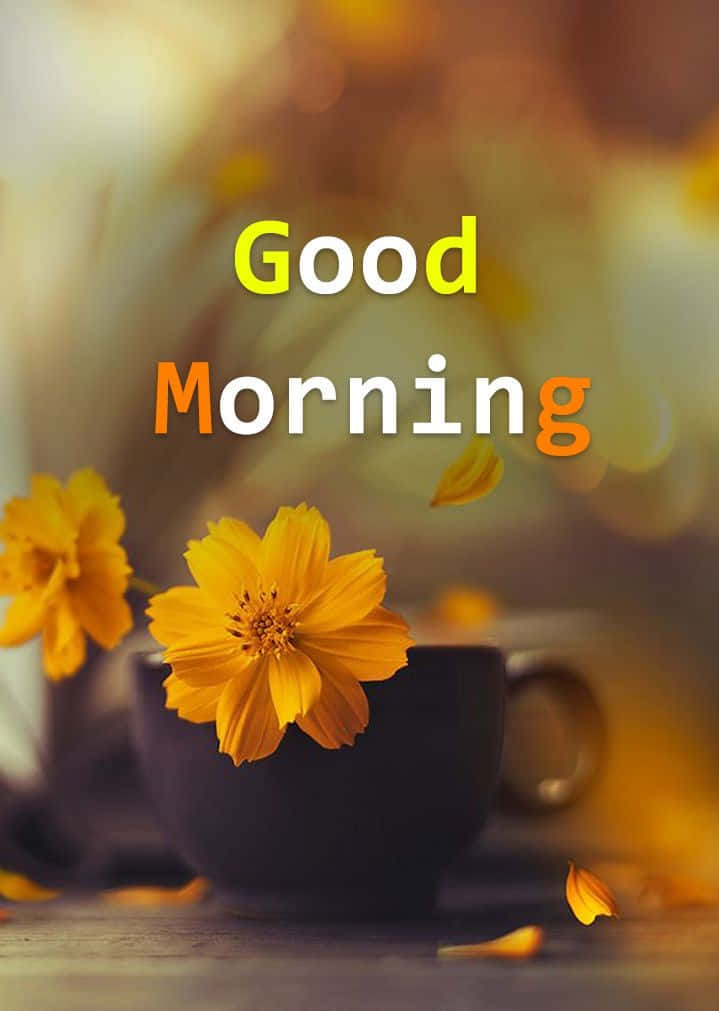 Morning Cup Yellow Flowers Background