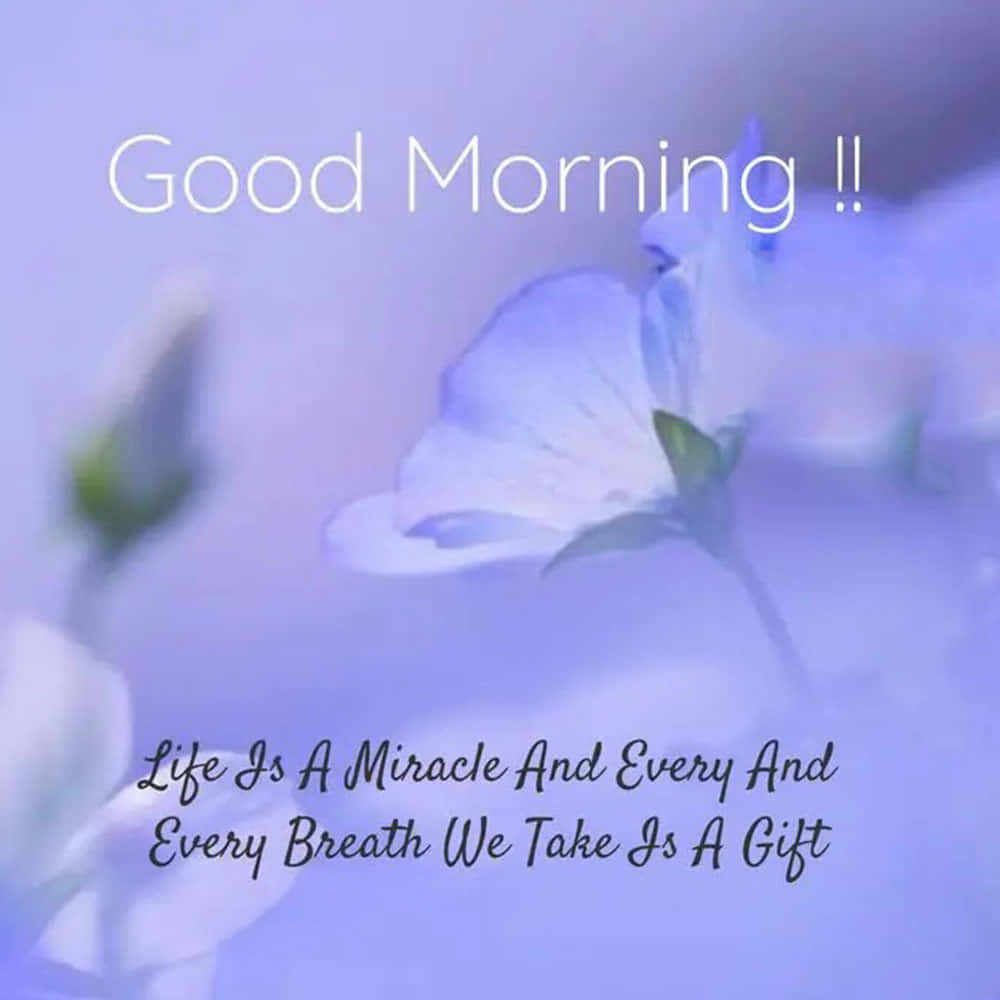 Morning Life Quote Lavender Background