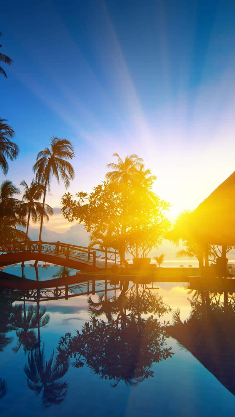 Morning Sunrise Pool Background