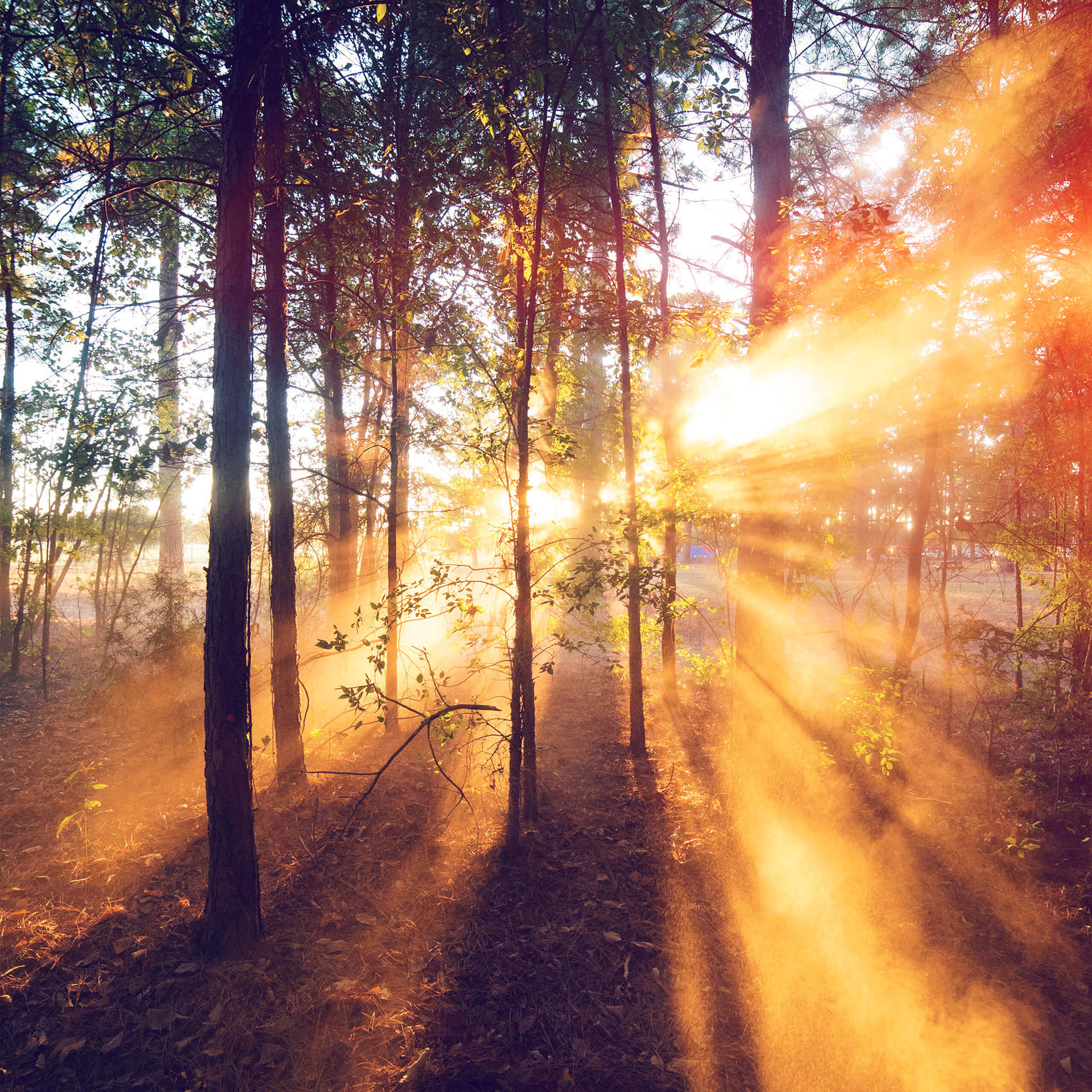 Morning Sunrise Sunbeam Background