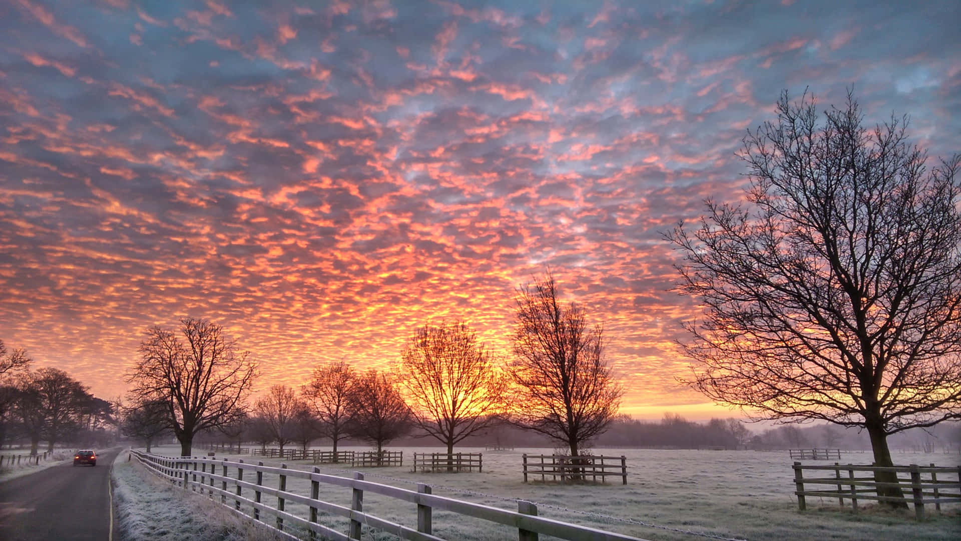 Morning Sunrise Winter Background