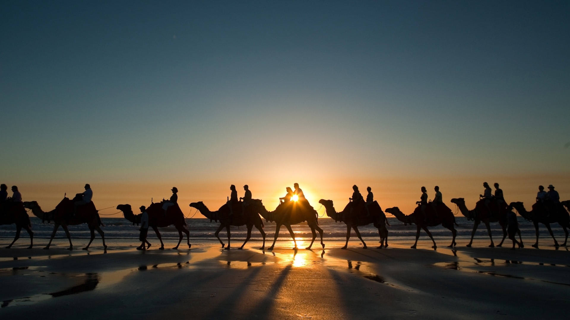Morocco Camel Caravan Background