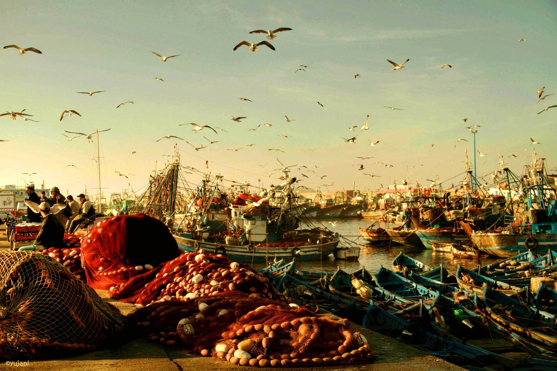 Morocco Fish Port Background