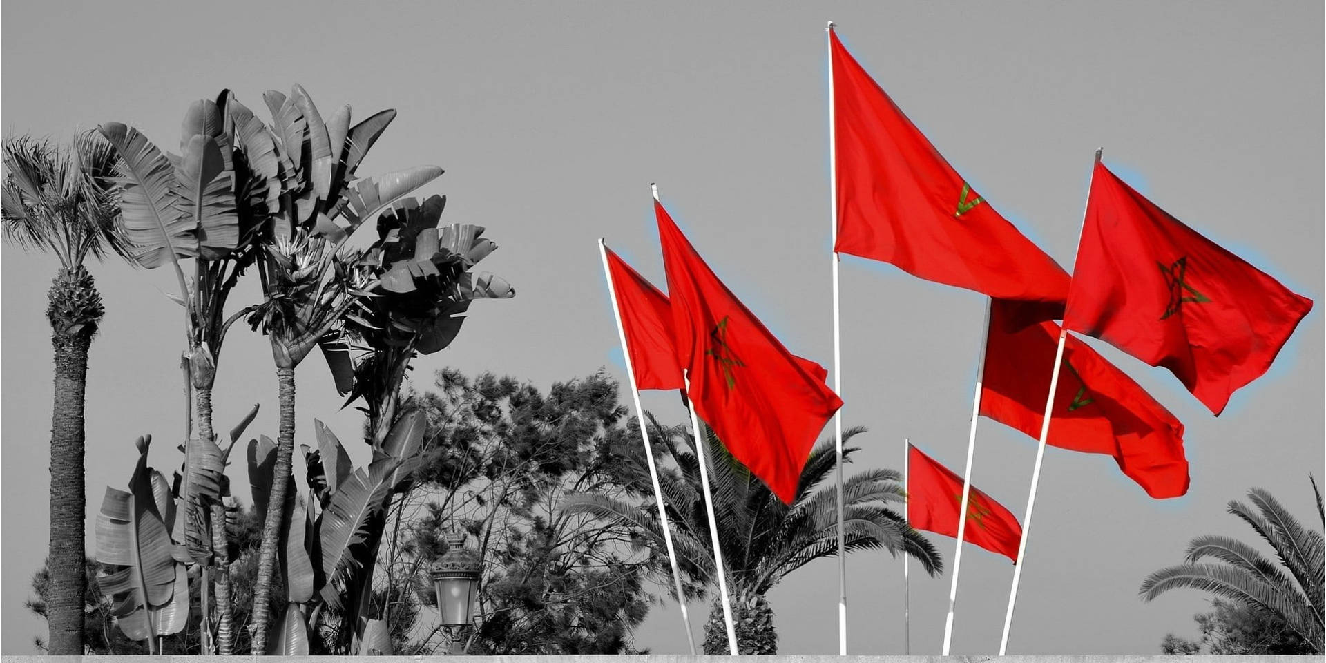 Morocco National Flag Background