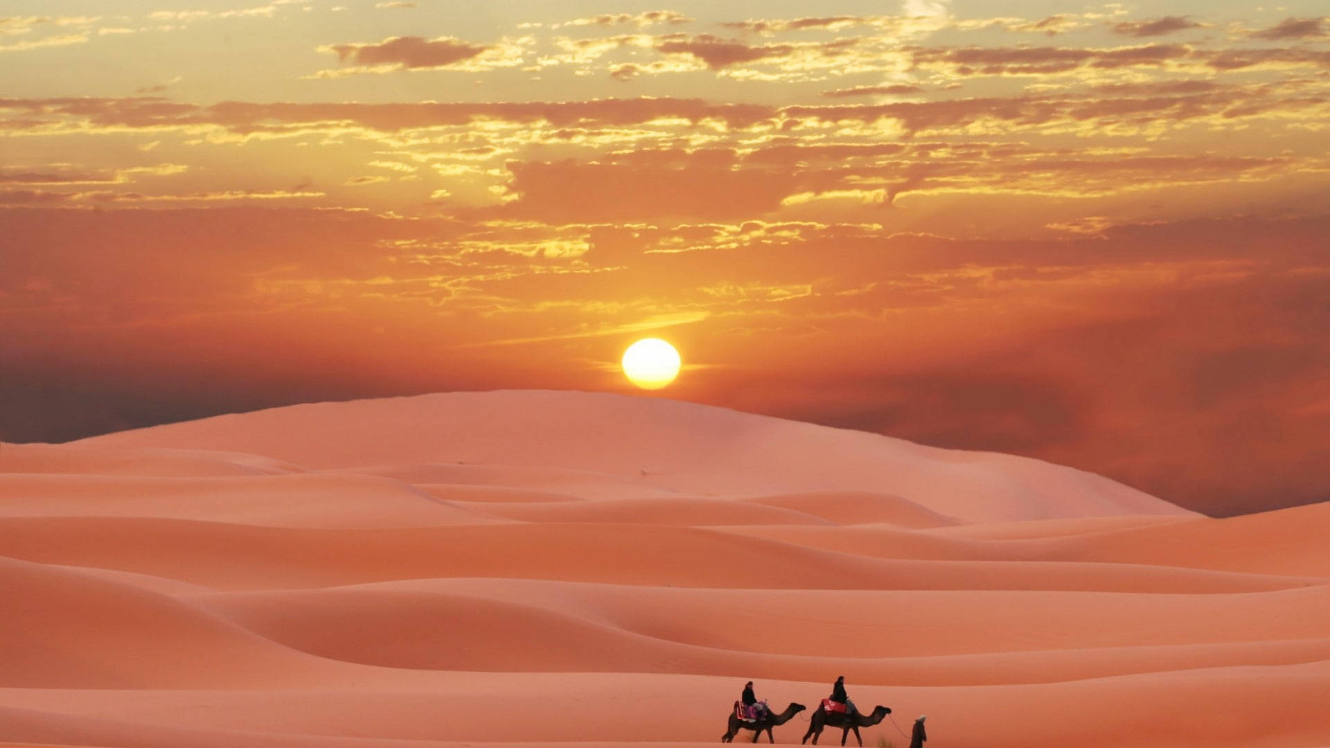 Morocco Pink Sahara Desert Background