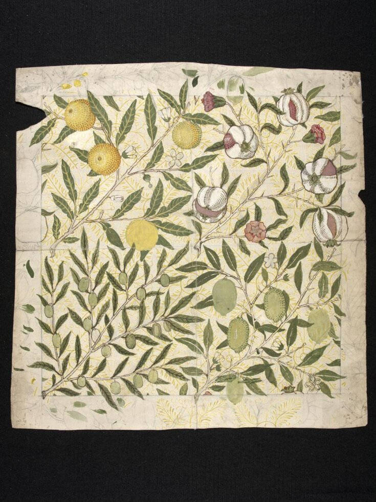 Morris Olive Lemons And Pomegranate Background