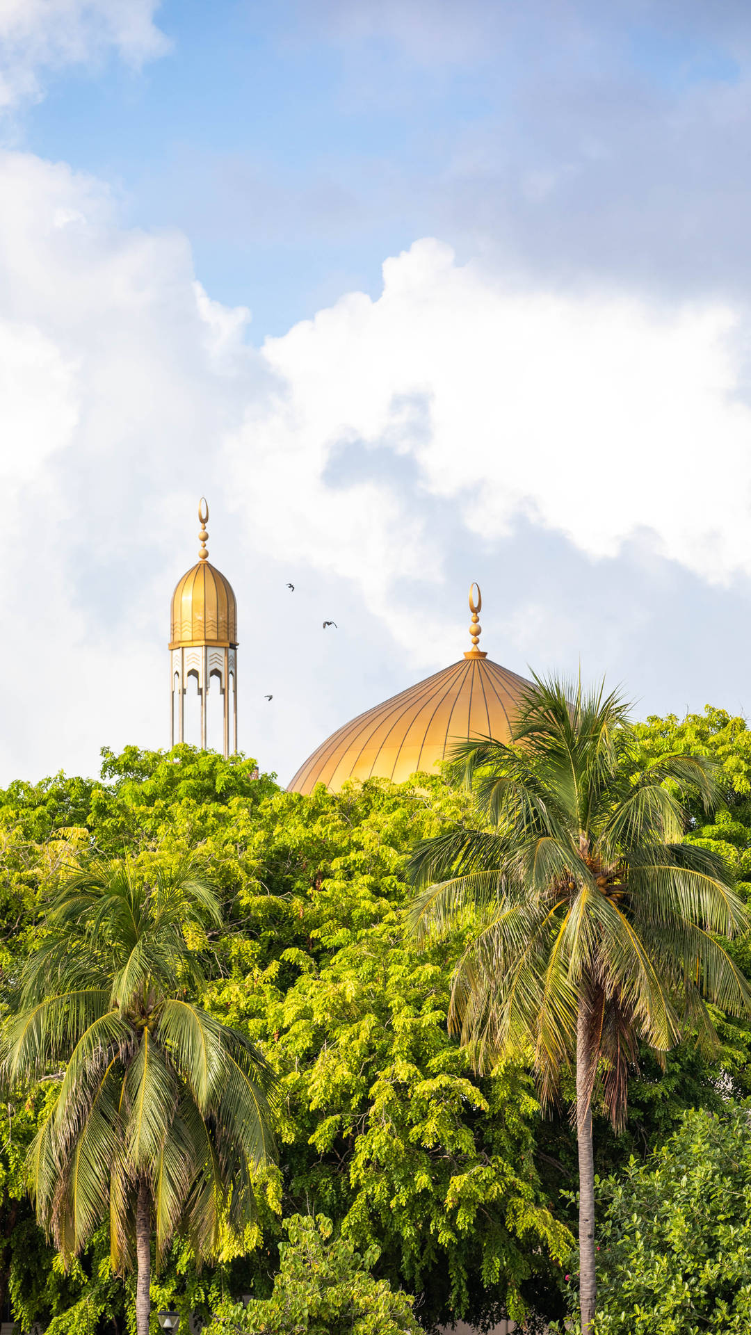 Mosque Of Allah Within Trees Background