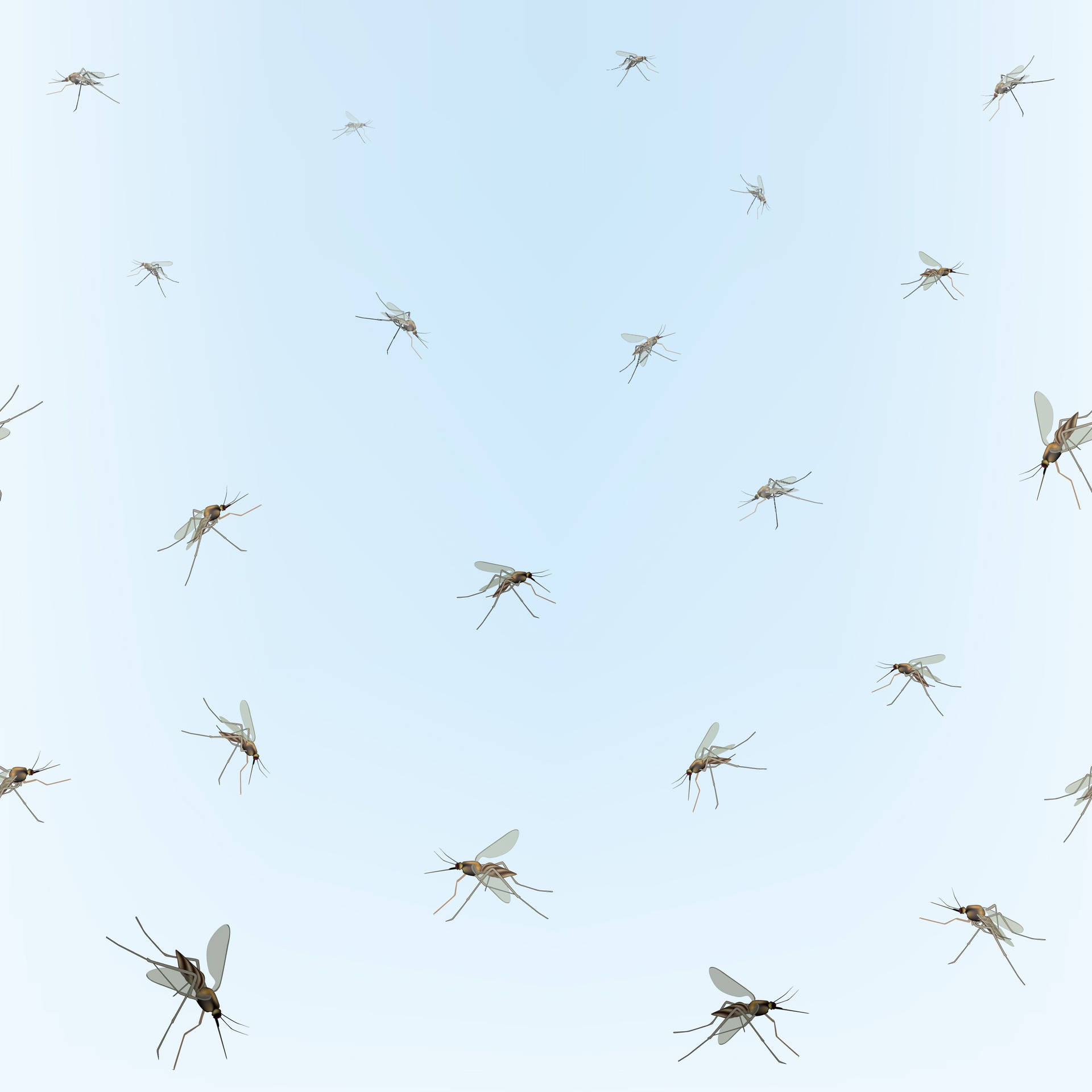 Mosquitos On A Blue Background Background