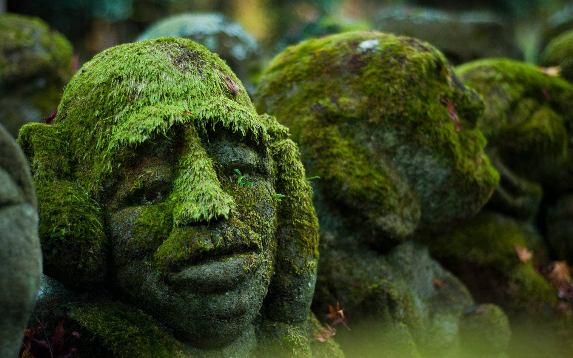 Moss Covered Sculptures