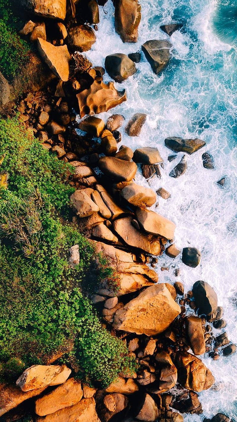 Mossy Cliff And Sea Background