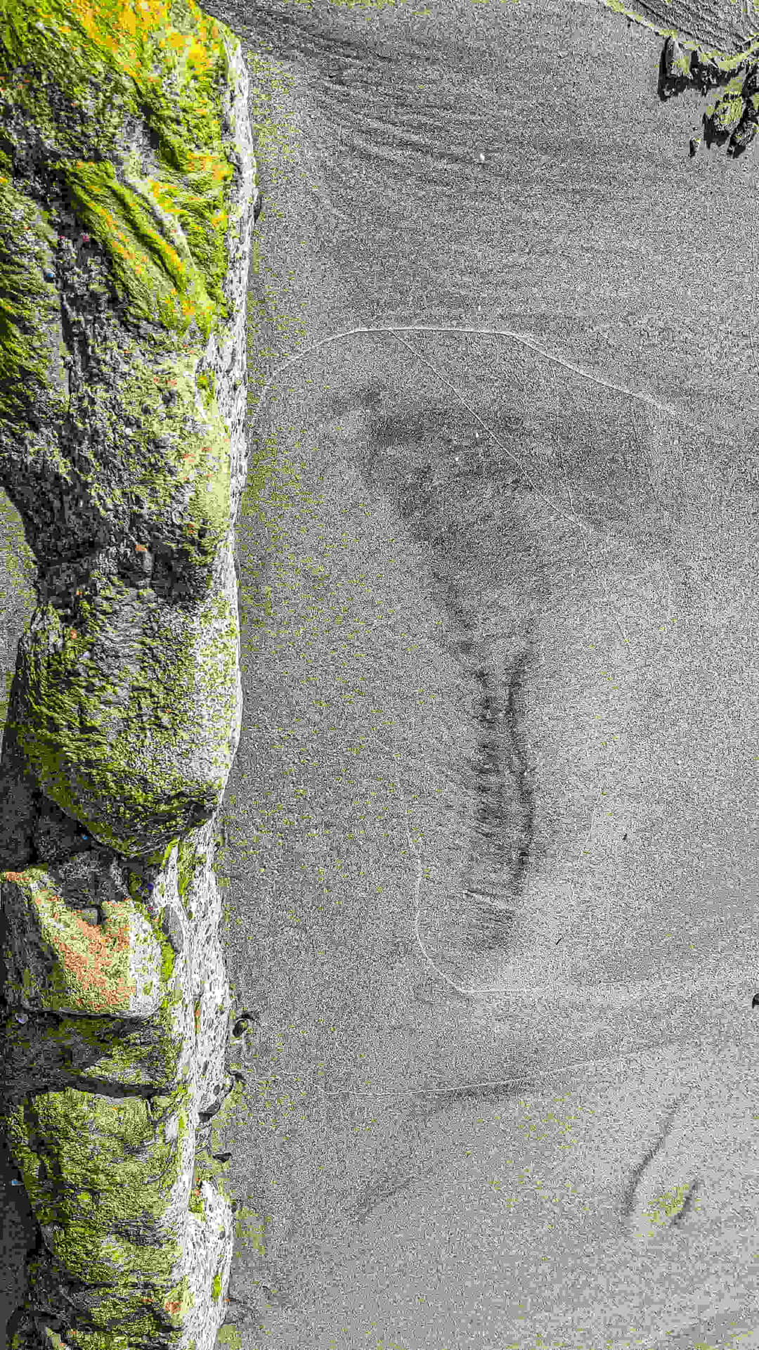 Mossy Rockand Sand Footprint