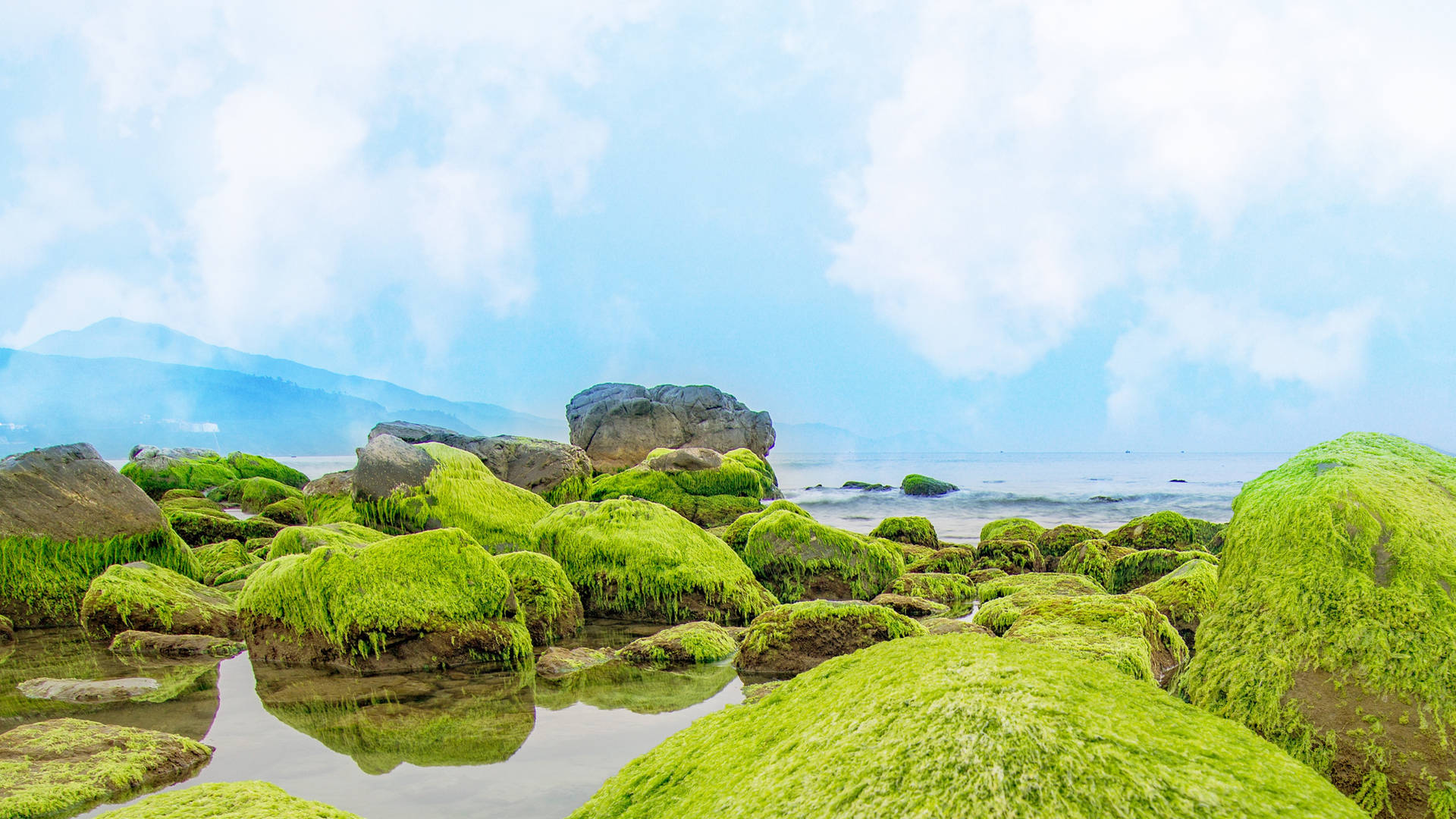 Mossy_ Rocks_by_the_ Sea_4 K_ U H D