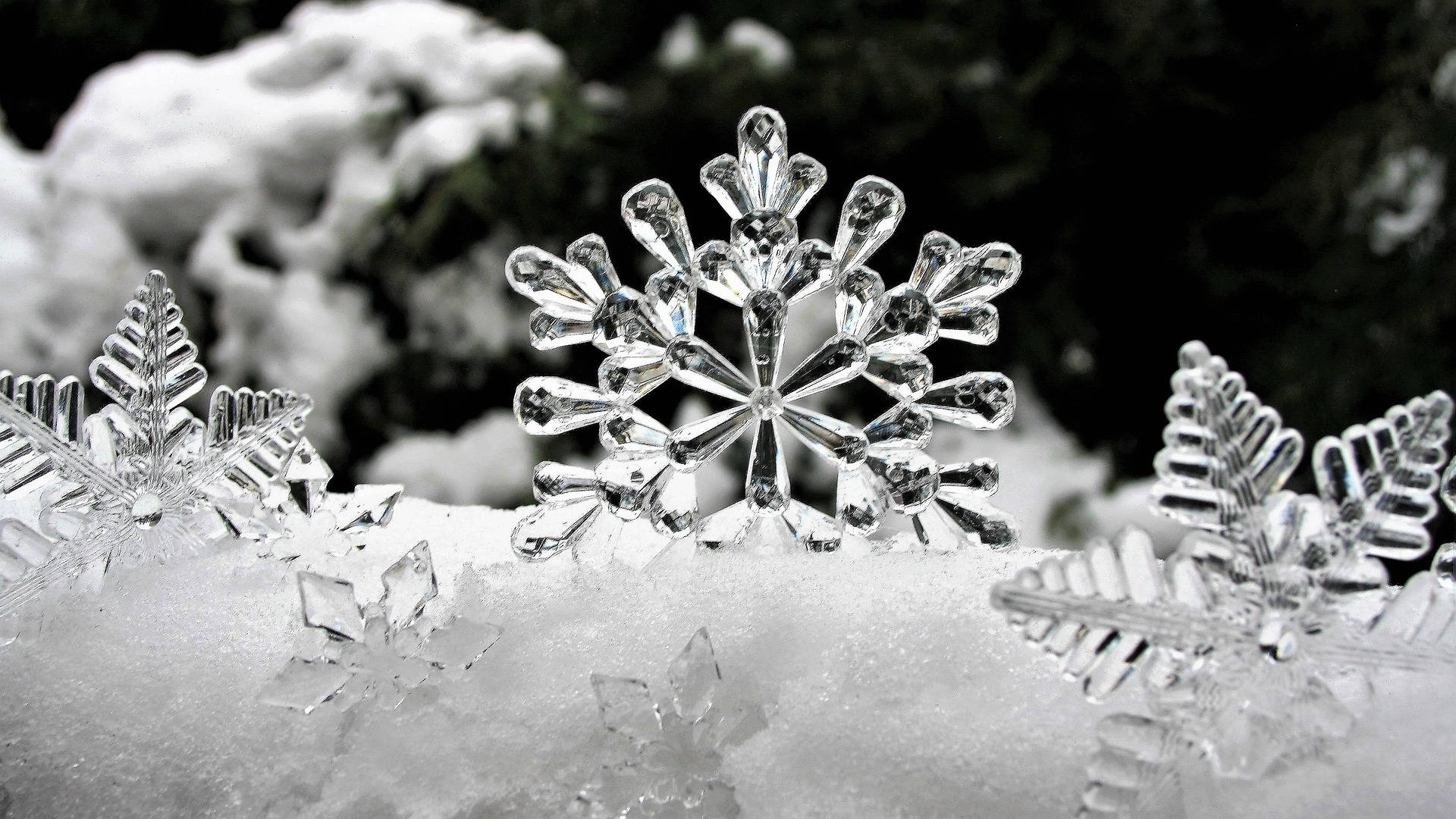 Most Beautiful Desktop Snowflakes Close-up