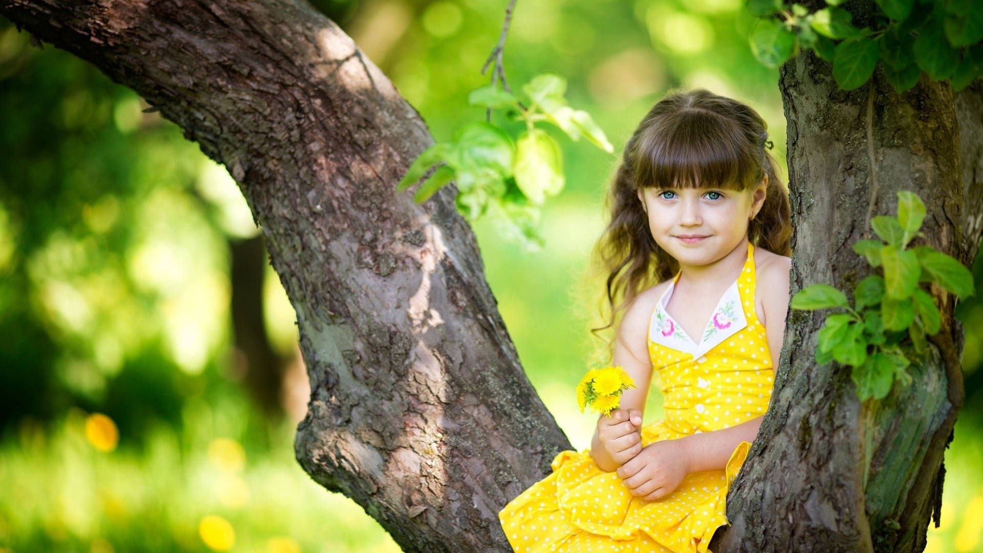 Most Beautiful Hd Cute Child In Yellow Background