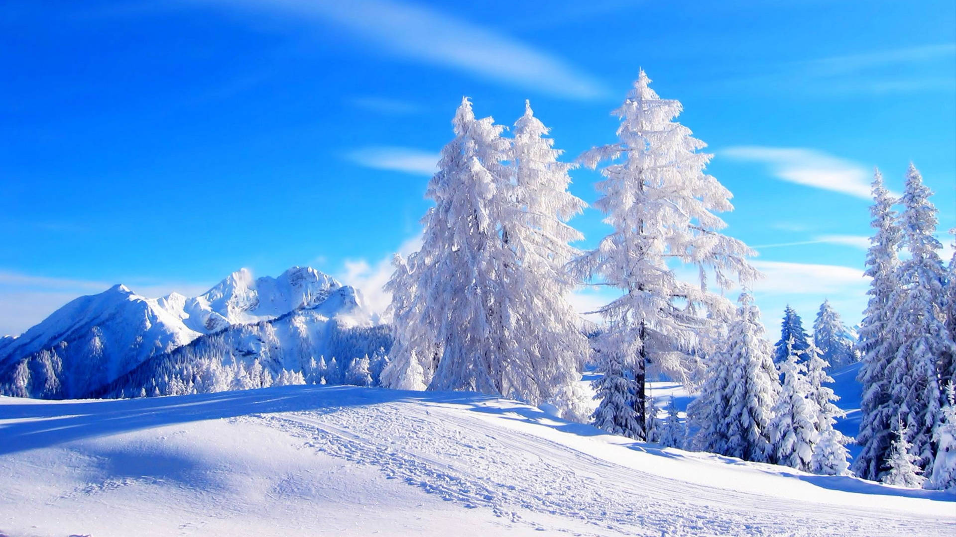 Most Beautiful Hd Snow Landscape Background