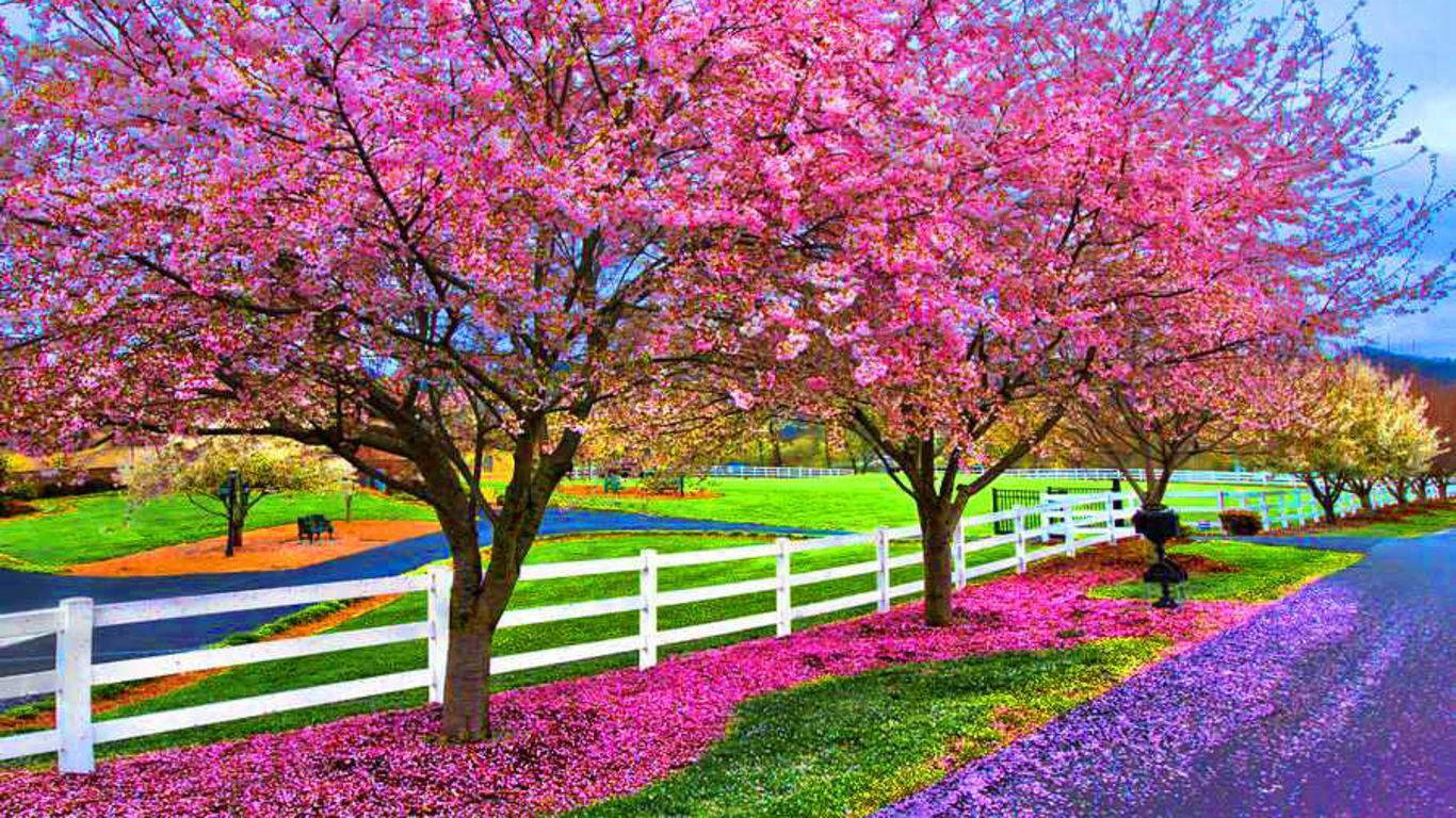 Most Beautiful Spring At The Farm Background