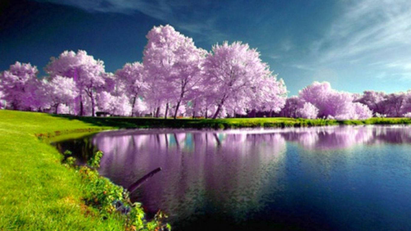 Most Beautiful Spring Scenery Background