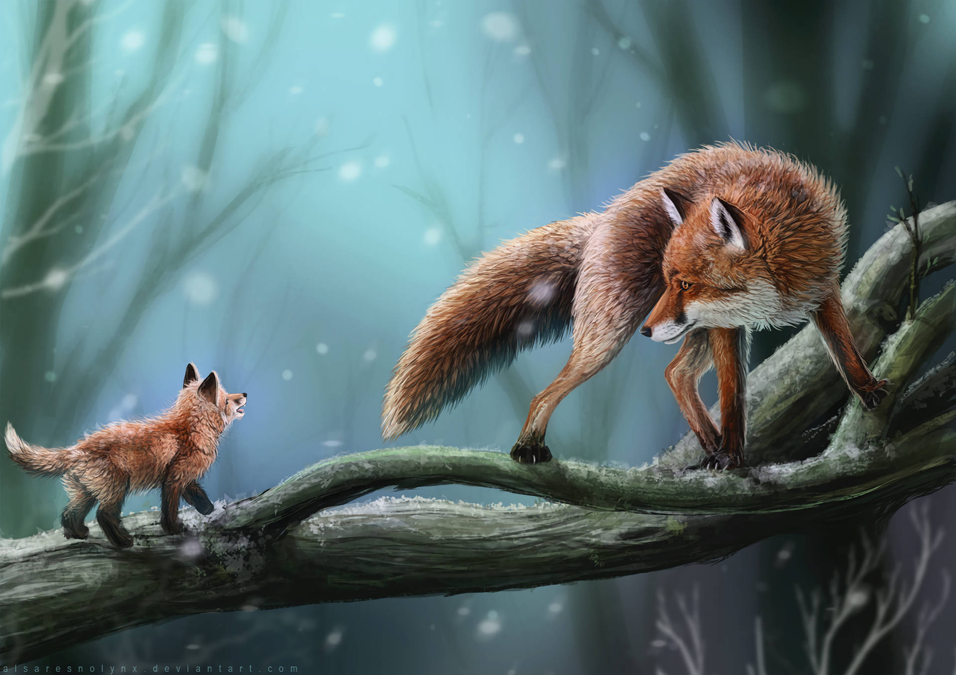Mother And Baby Fox Background