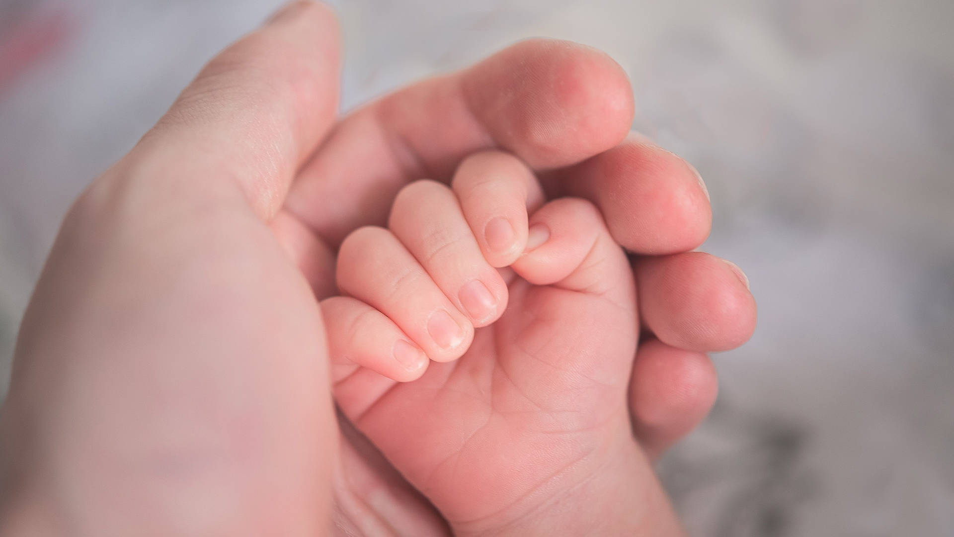 Mother And Baby's Hand Background