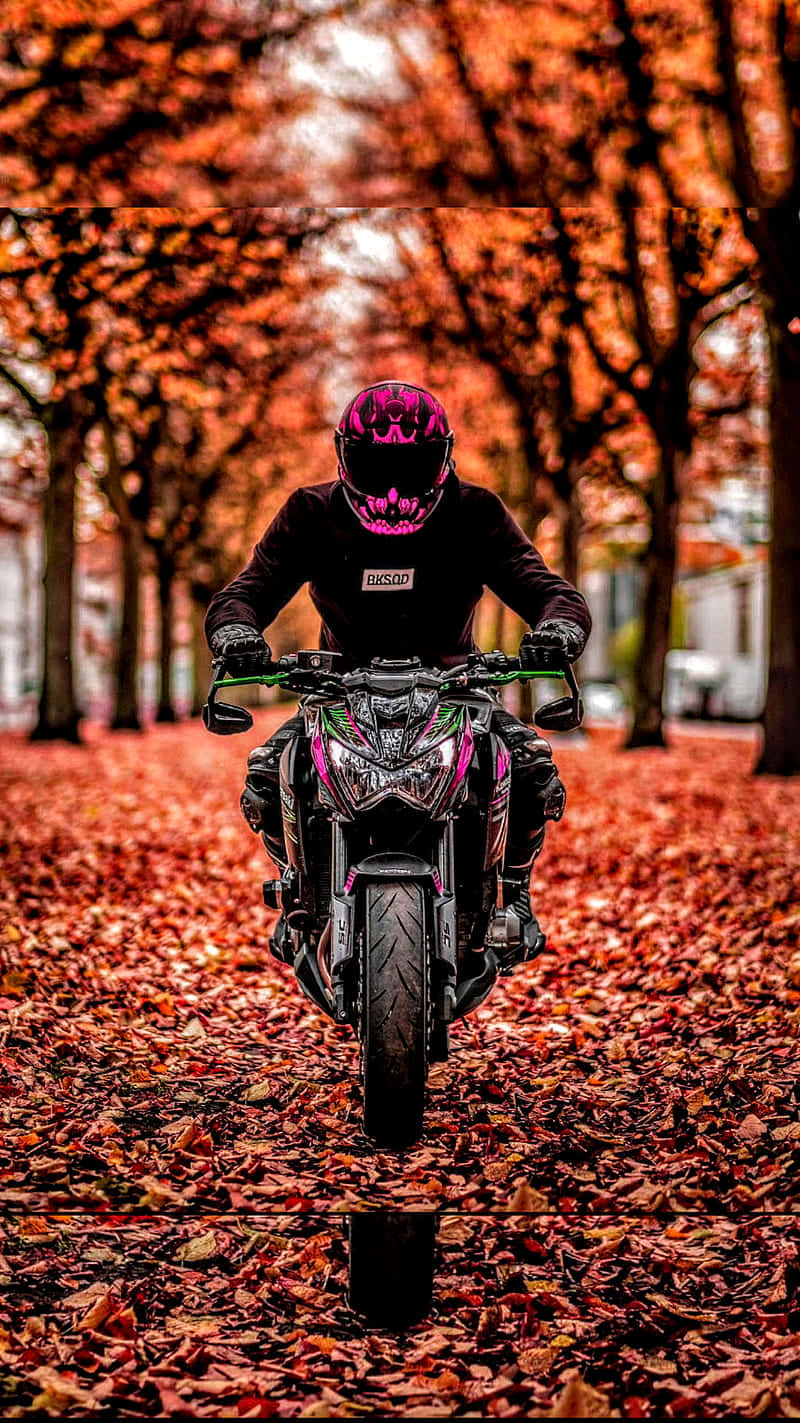 Motorcycle During Autumn Season [wallpaper] Background