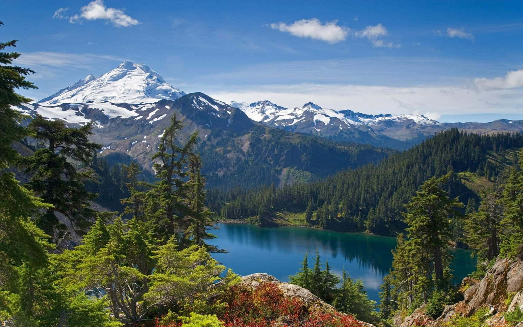 Mount Baker United Stated Mountain Landscape