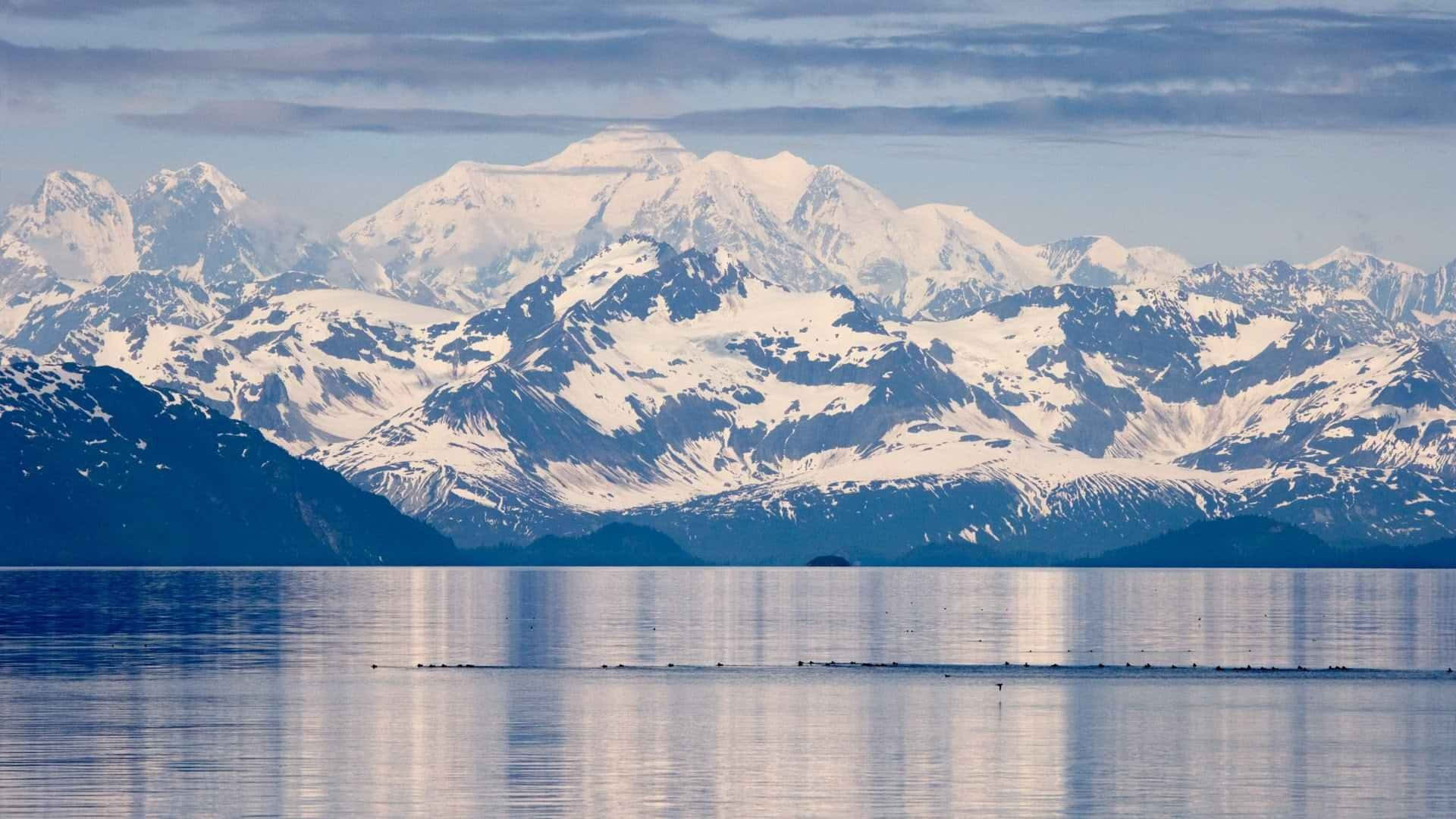 Mount Fairweather Glacier Bay National Park Background
