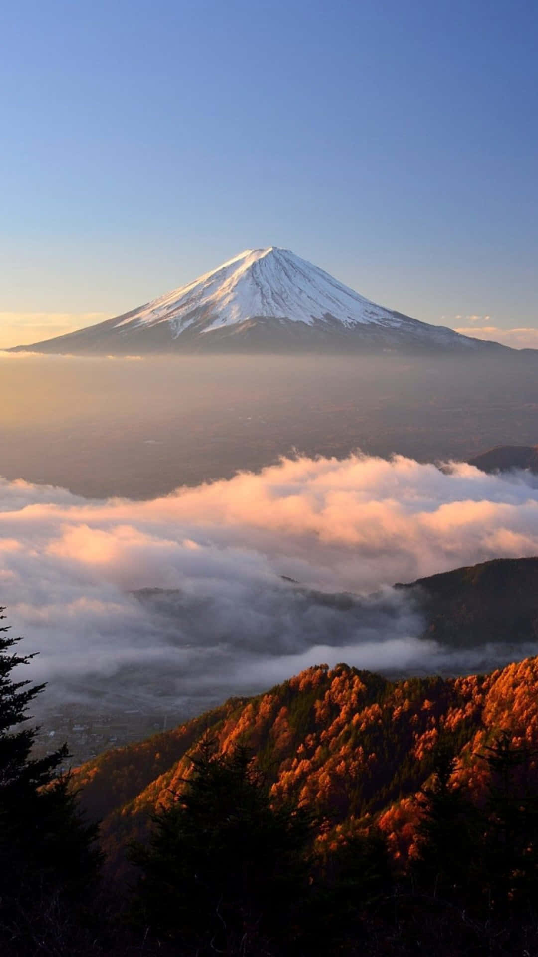 Mount Fuji Above The Clouds