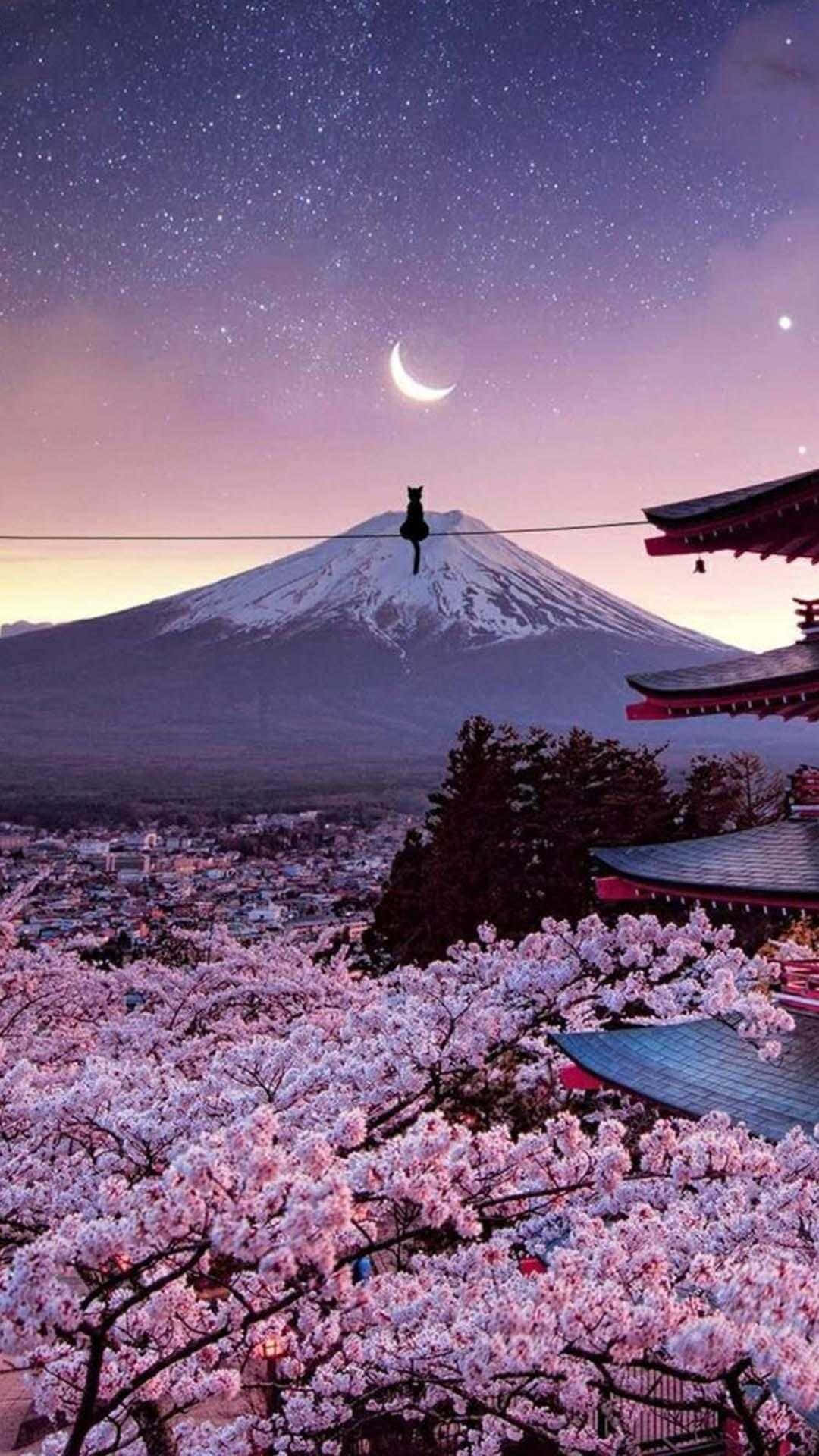 Mount Fuji And Cherry Blossoms Japanese Iphone Background