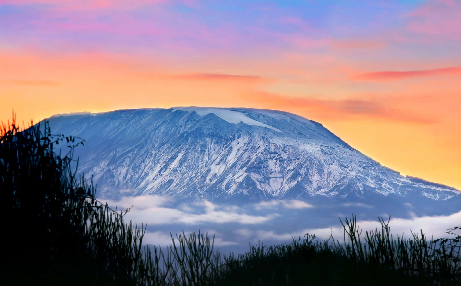 Mount Kilimanjaro At Sunset