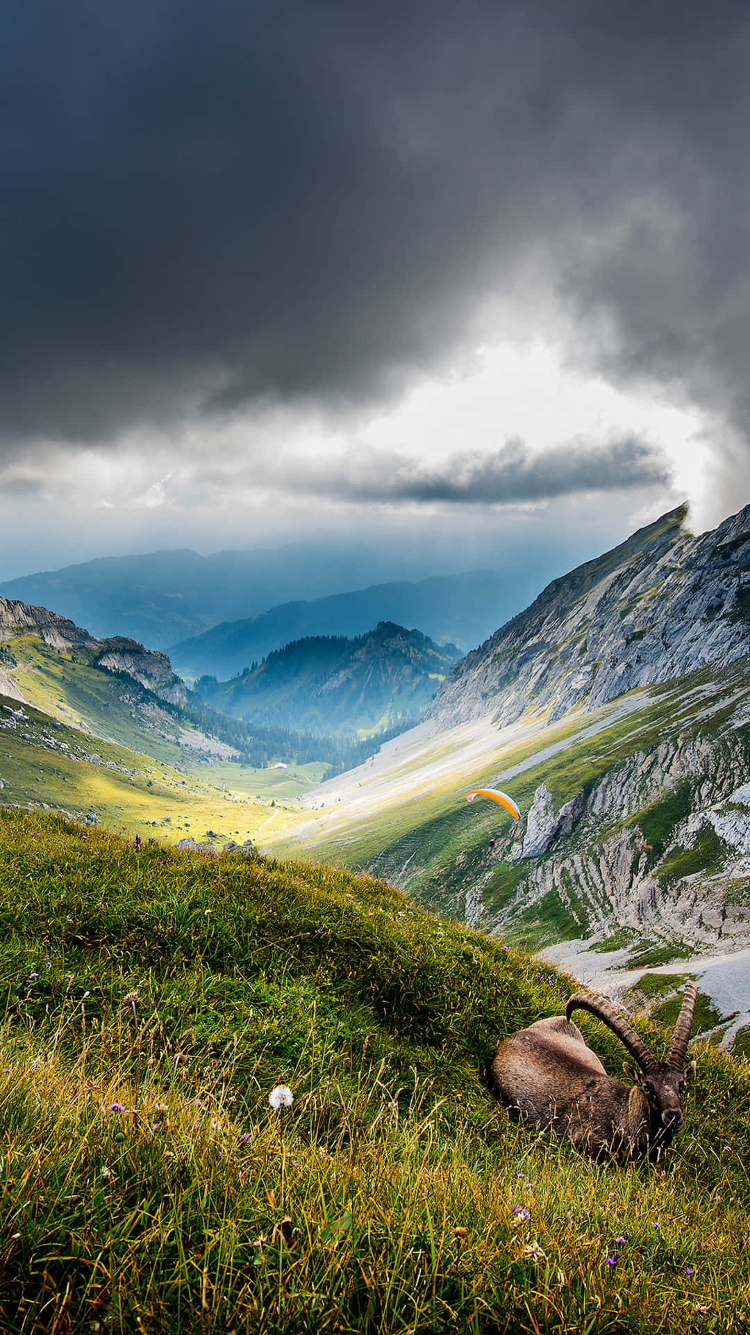 Mount Pilatus Nature Android Hd Background