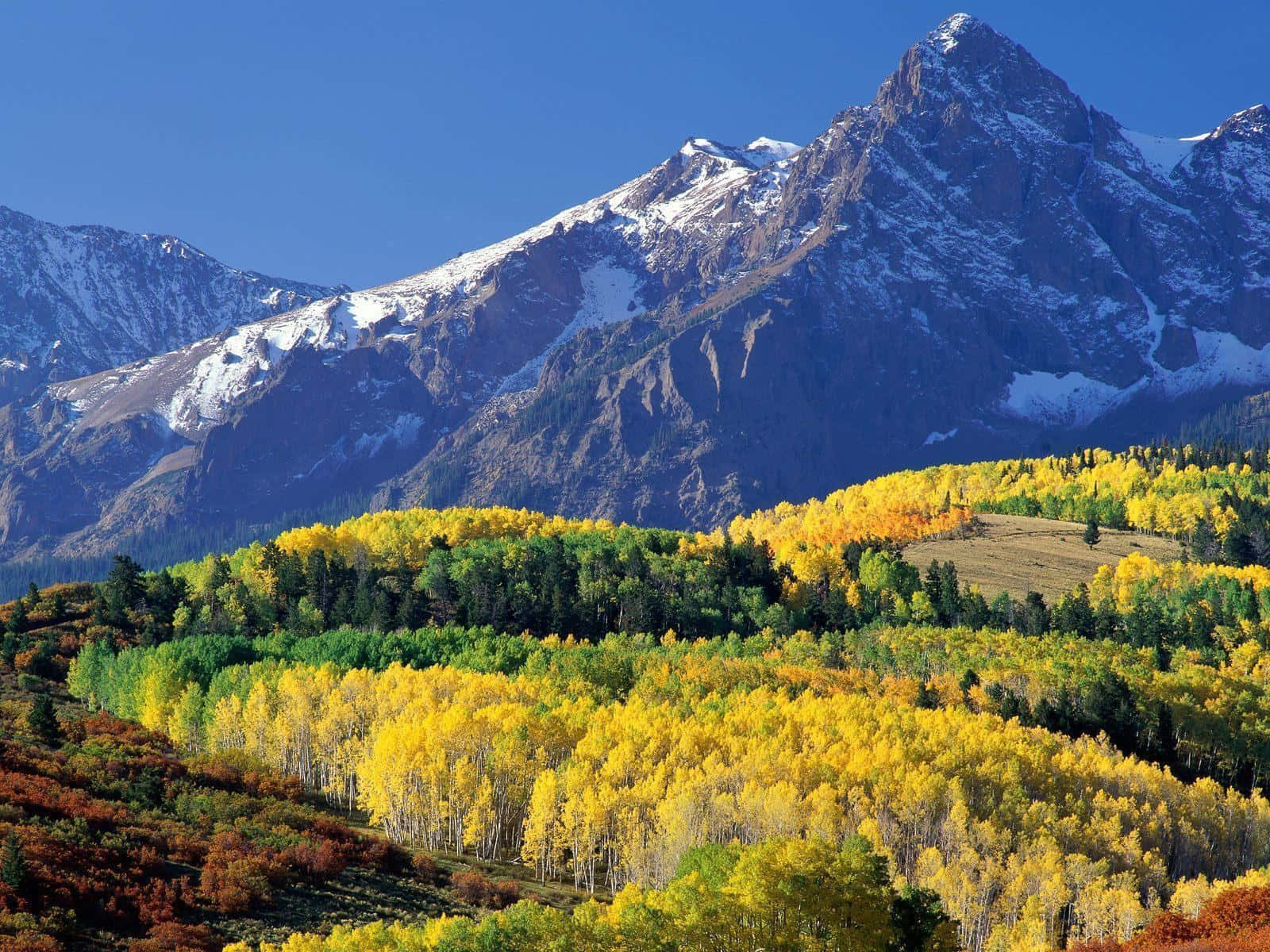 Mount Sneffels Summit Colorado Desktop Background