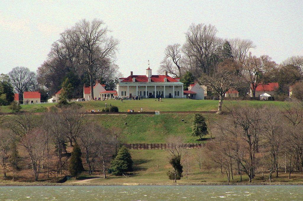 Mount Vernon Empty Trees Background