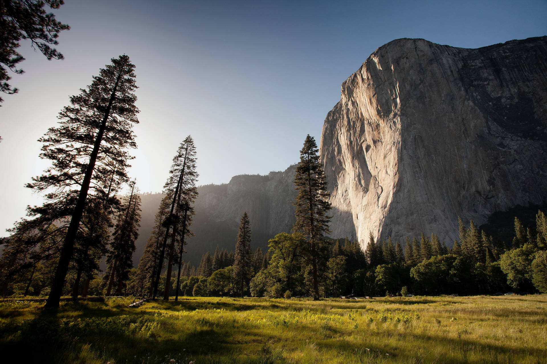 Mountain And Pine Trees Hd Landscape Desktop