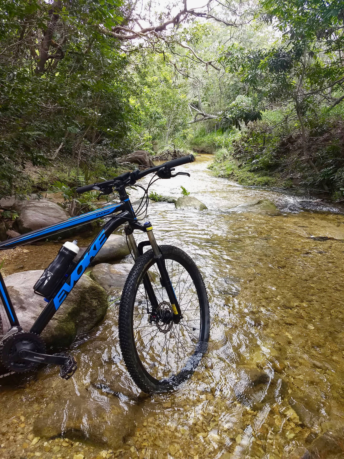 Mountain Bike At Stream Background