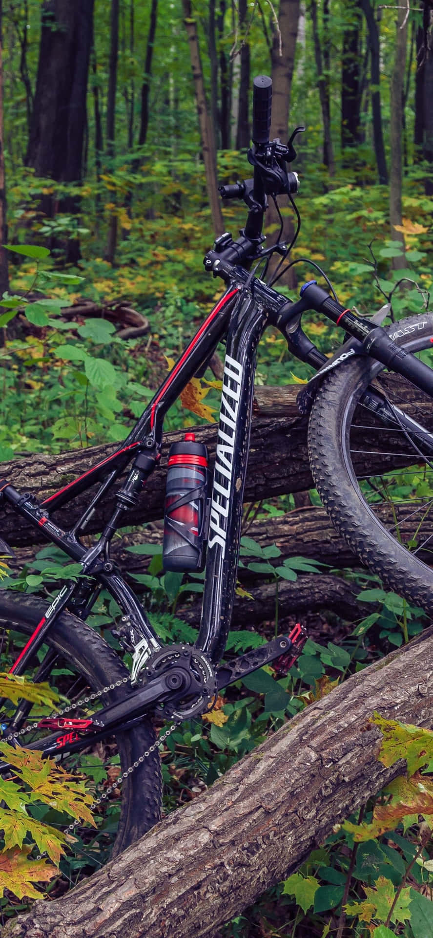 Mountain Bike Iphone Forest Background