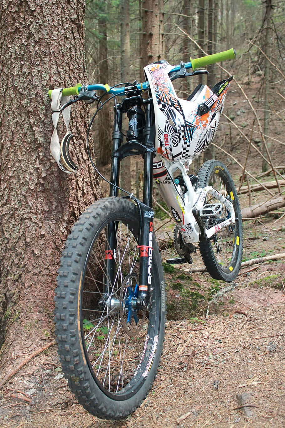 Mountain Bike Leaning Against Tree Background