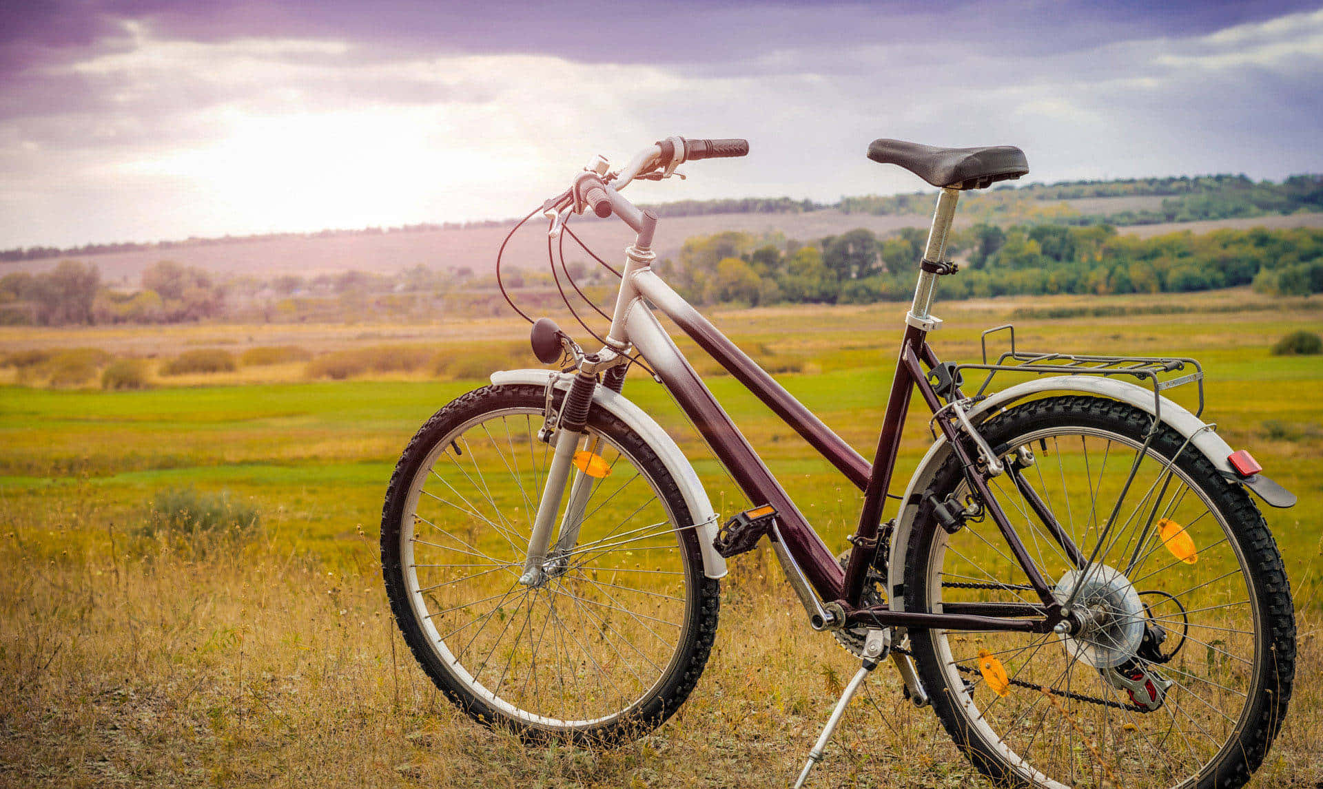 Mountain Bike Sunset Field Background
