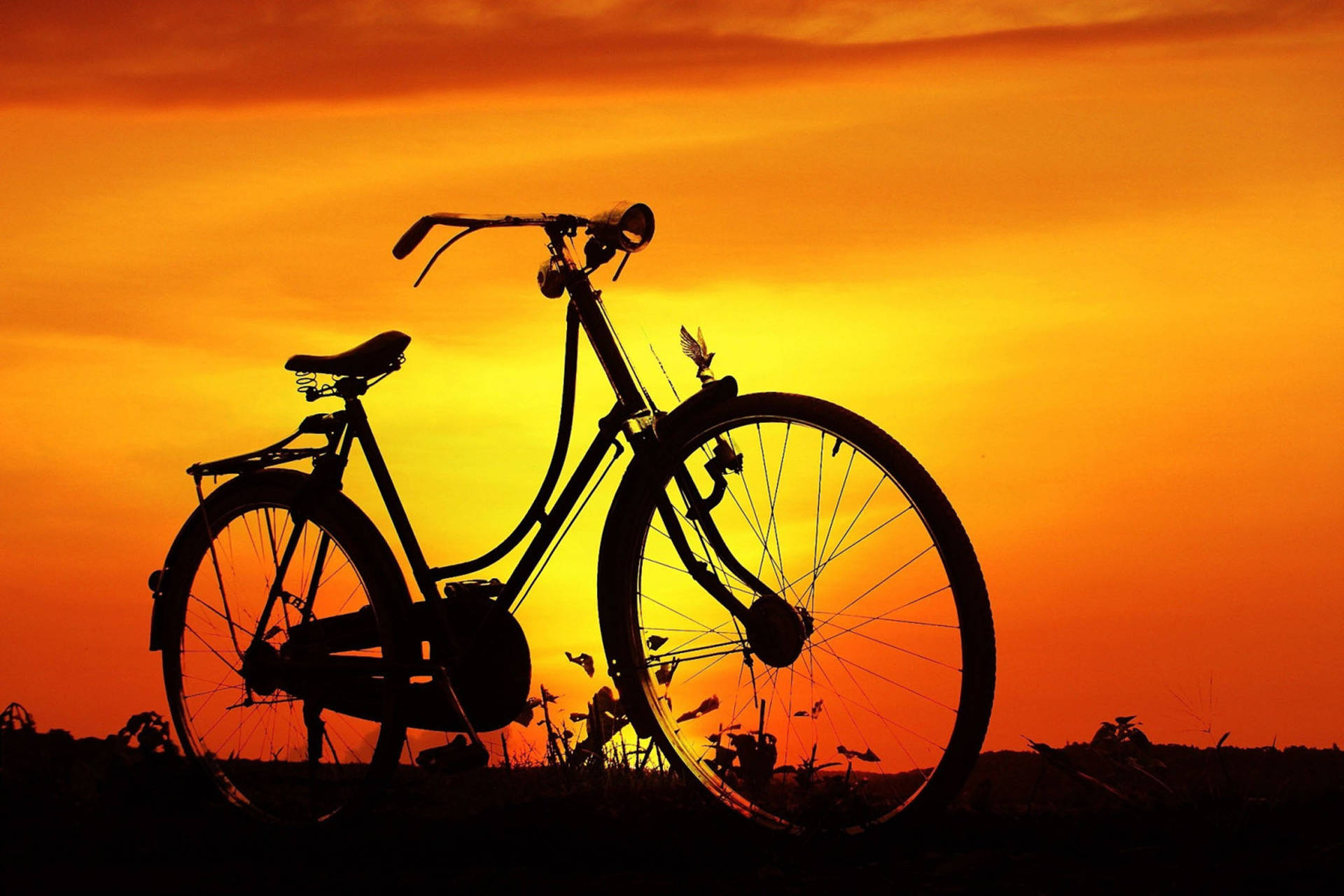 Mountain Bike Sunset Silhouette Background