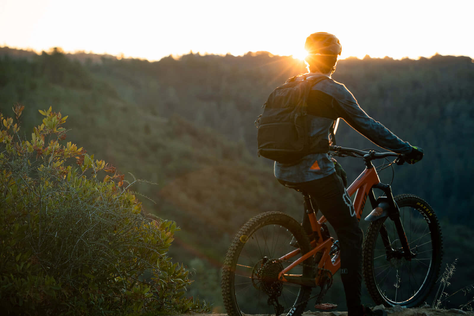 Mountain Biker Sunset View.jpg Background