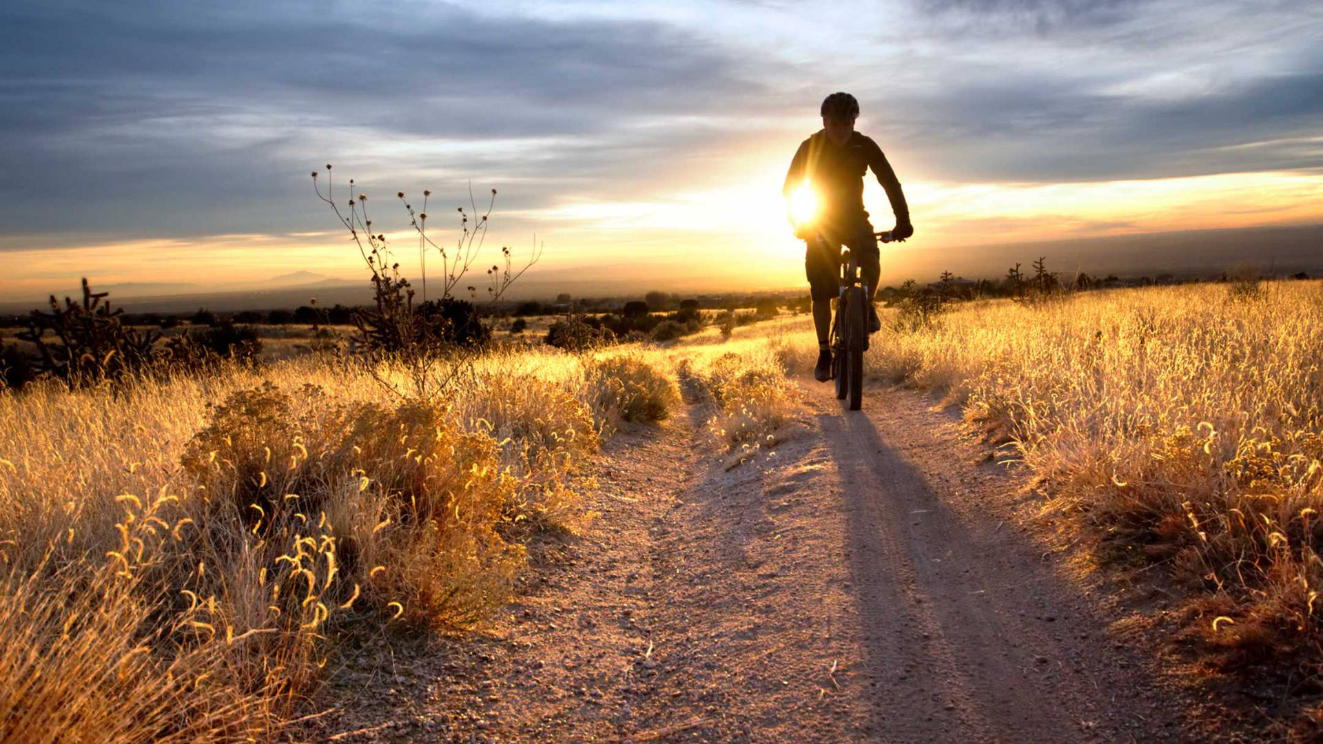 Mountain Biking Away From Sunset Trail Background