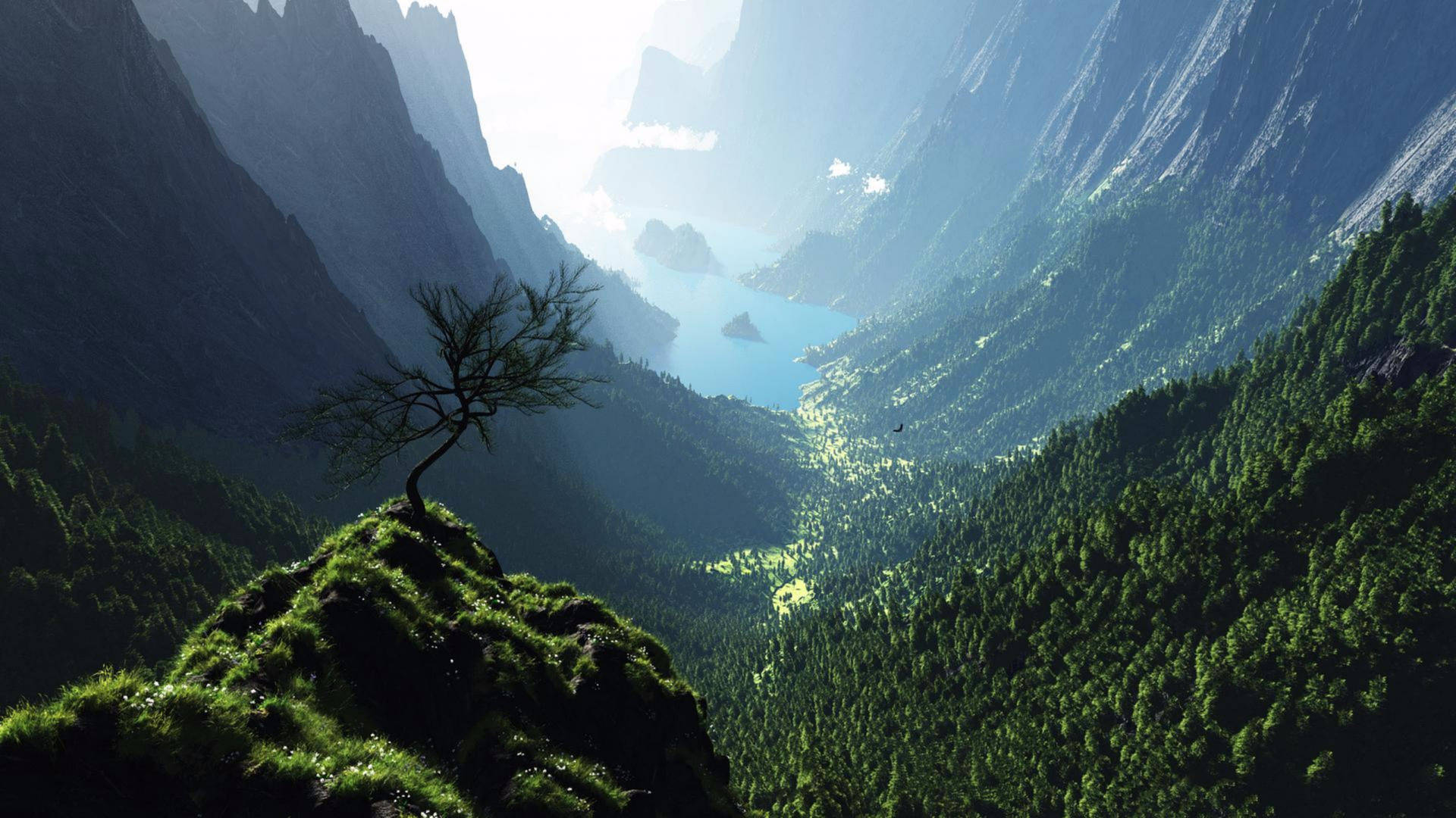 Mountain Forest Valley Uhd Background