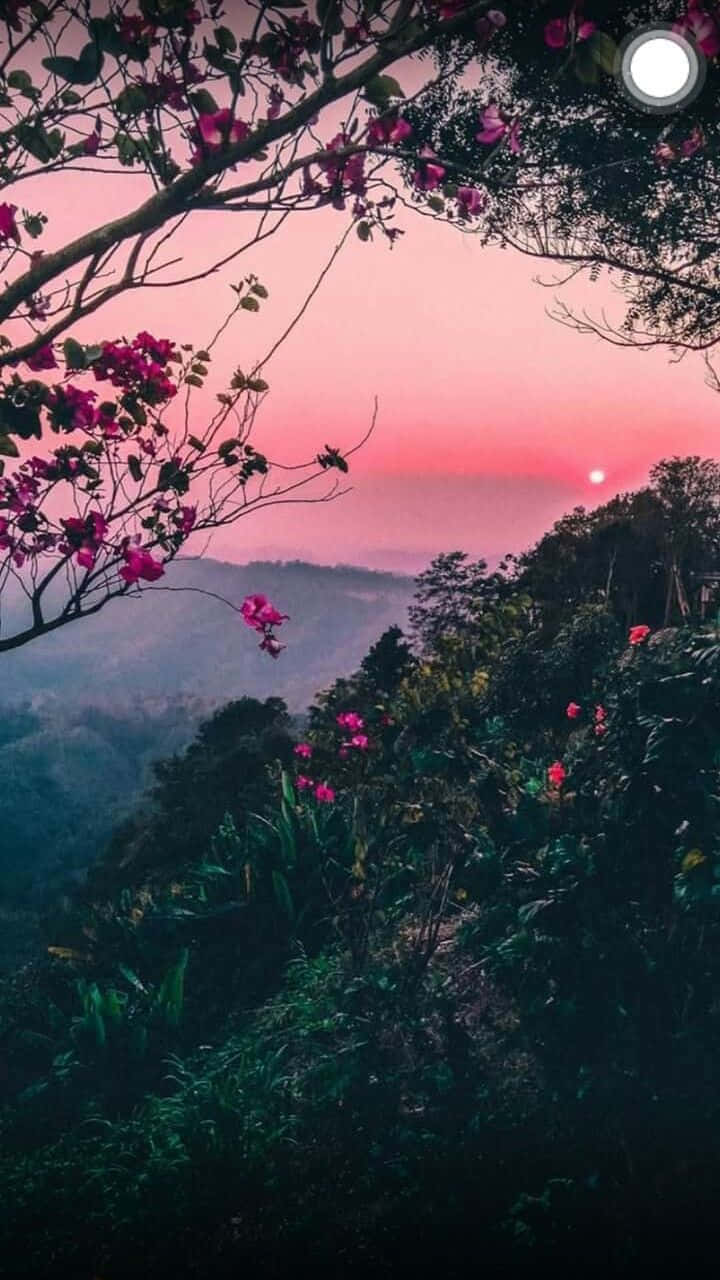 Mountain Forest With Pink Flowers Nature Aesthetic Phone